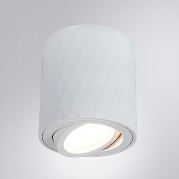 Накладной точечный светильник GU10 A5559PL-1WH белый Fang Arte lamp