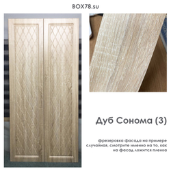 Дуб сонома (3)