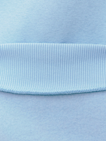 Свитшот (с начесом) Голубой