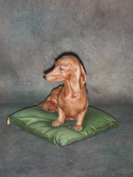 Статуэтка. Фарфор. Такса на зеленой подушке. Capodimonte. Италия