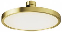 Накладной светильник Maytoni Plato TR153-1-10W4K-BS