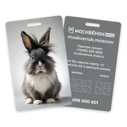 Карта Москвёнок BUNNY №1 (проход + питание)