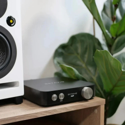 Интегральный усилитель OCTAVIO AMP 100W
