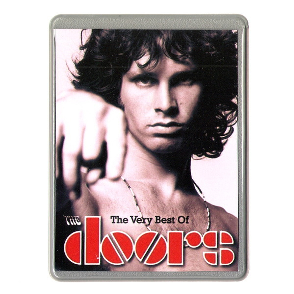 Чехол для проездного The Doors