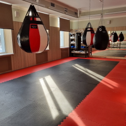 Будо-мат (Додянг) Китай