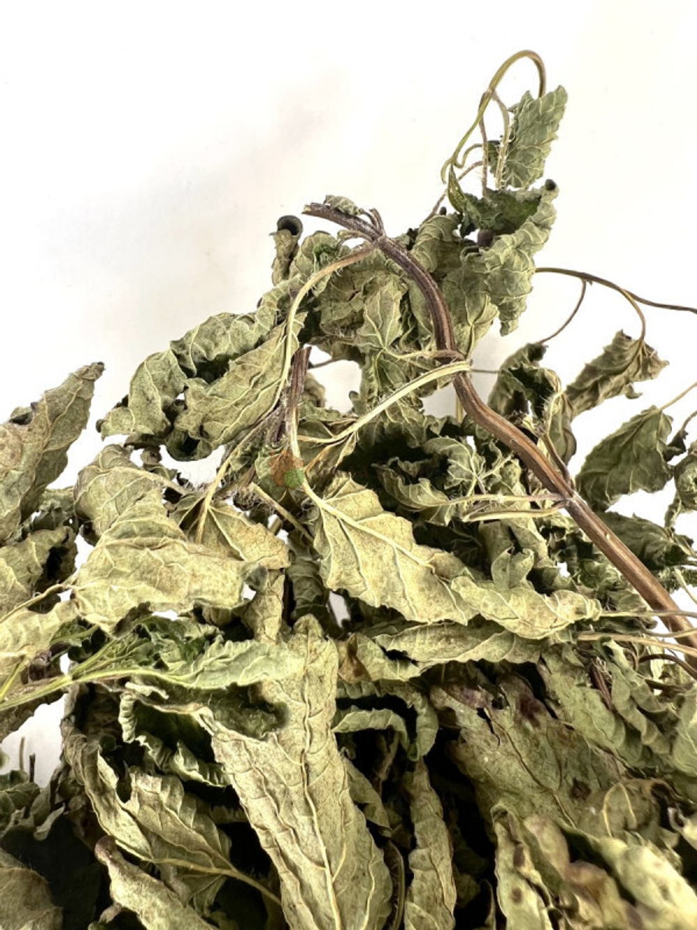 photo_07-12_044.jpg photo_07-12_044.jpg