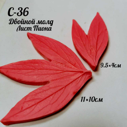 Молд С-36