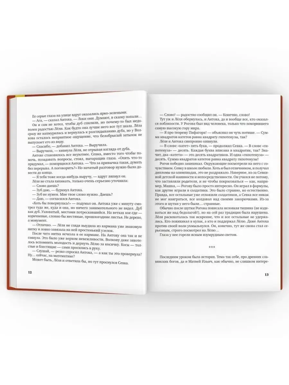 Гимназия №13