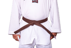 Пояс для тхэквондо ProfSport без вышивки (4 см) коричневый