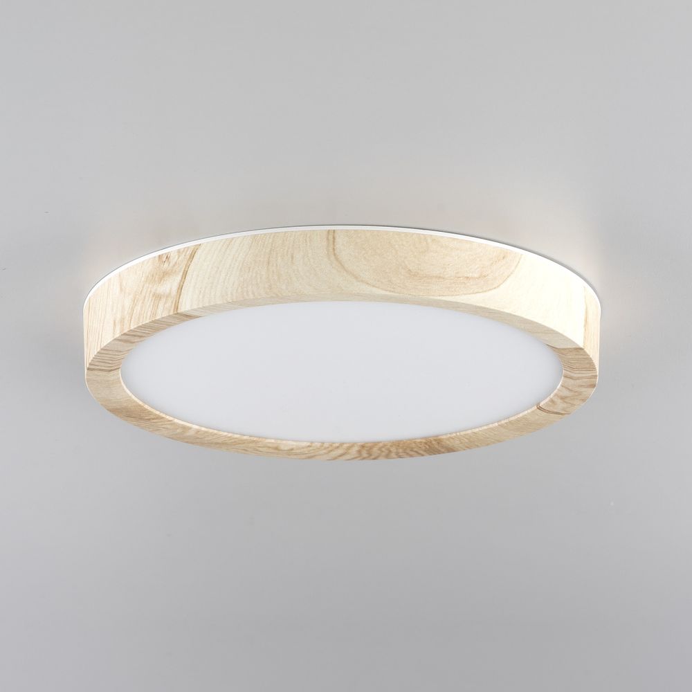 Citilux Бейсик CL738122N LED Светильник накладной Клён