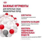 Корм Royal Canin X-Small Adult для собак миниатюрных размеров от 10 месяцев до 8 лет 0.5кг