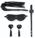 Эротический набор в черном цвете: маска, кляп, пэстисы, плётка (Цвет: черный)