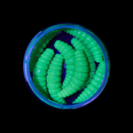 Форелевая приманка "Minoga" MAGGOT 1,6"(8шт) 40мм, 2,5гр, цвет 08