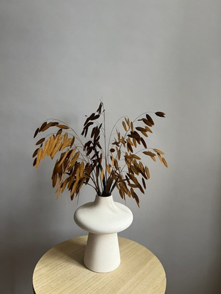 Хасмантиум горчичный