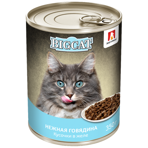 Зоогурман корм консервированный для кошек big cat
