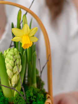 Первые цветы