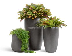 Кашпо TREEZ Effectory - Beton - Высокий округлый конус - Тёмно-серый бетон