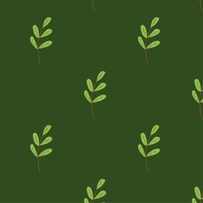 Зеленые веточки