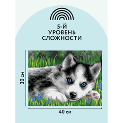 Картина по номерам на картоне "Голубоглазый пушистик", 30*40, с акриловыми красками и кистями, ТРИ СОВЫ