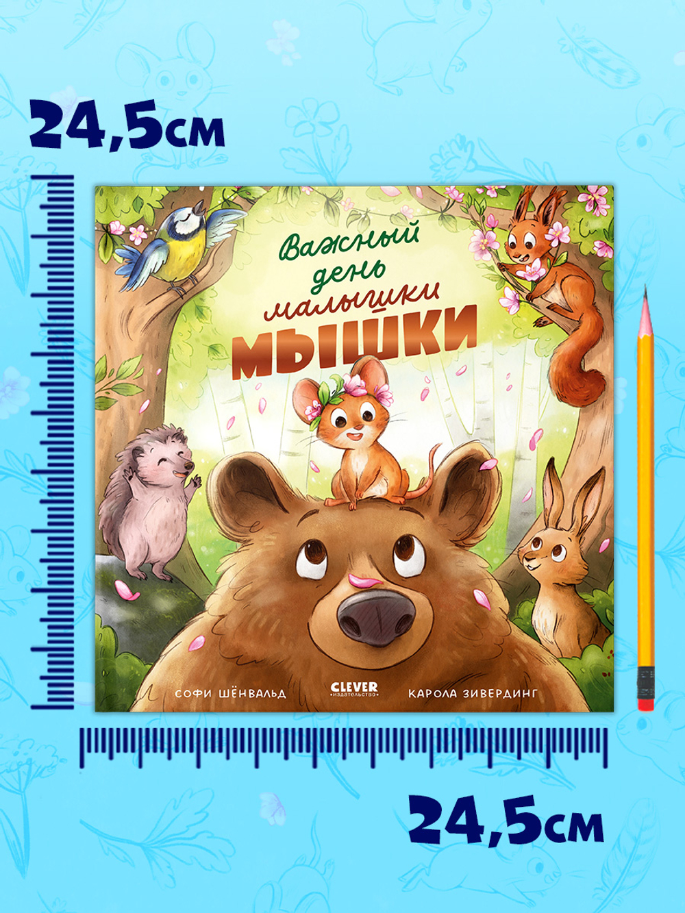 Книжки-картинки. Важный день малышки Мышки