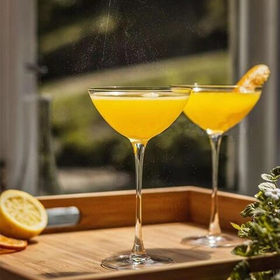 Бокал для коктейля "Daisy" Cocktail Week 225мл.P.L-Barware