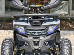 Lion 125 AA серый