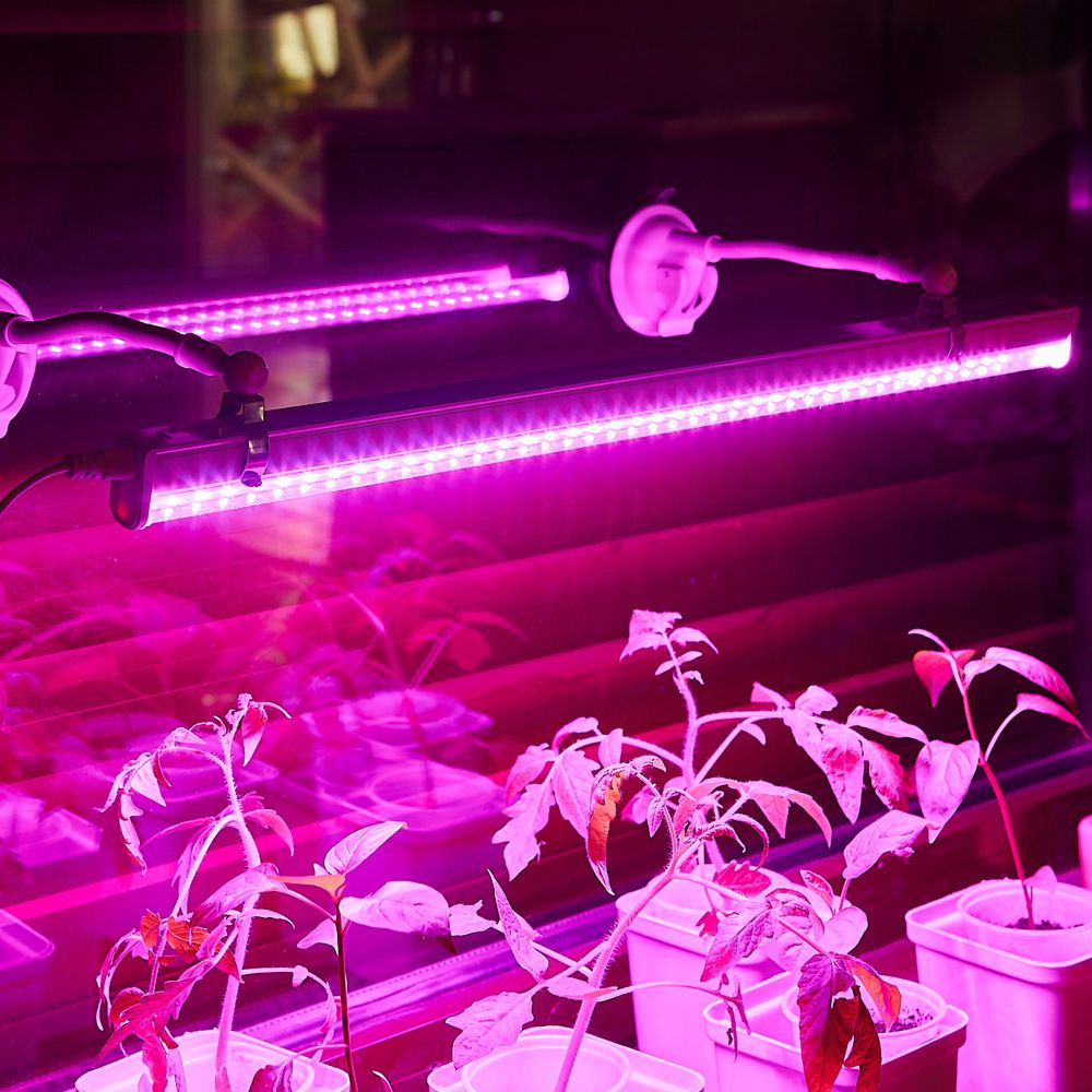 UFP-M01R-150 WHITE POLYBAG SET2 Подставка для светильника ULI-P. на присоске. длина трубки 150мм. Набор из 2шт. Белая. TM ФитоЛето