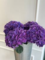 Гортензия в фиолетовом оттенке