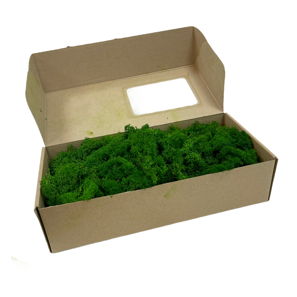 Мох ягель финский зеленый