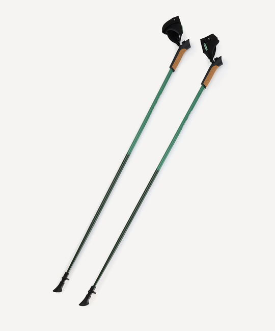 Палки скандинавские BERGER Travel