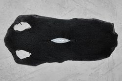 Кожа ската 245х120мм (черная глянцевая)