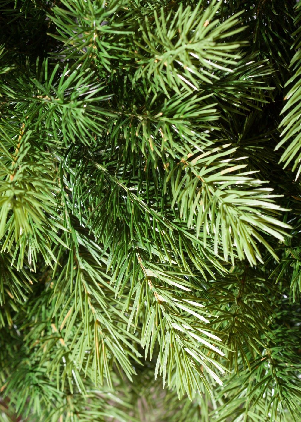 Ель искусственная «Луиза» (Литая хвоя) 180 см / 1,8 м