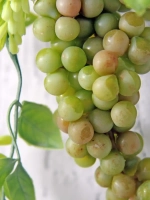 Панно на стену для интерьера