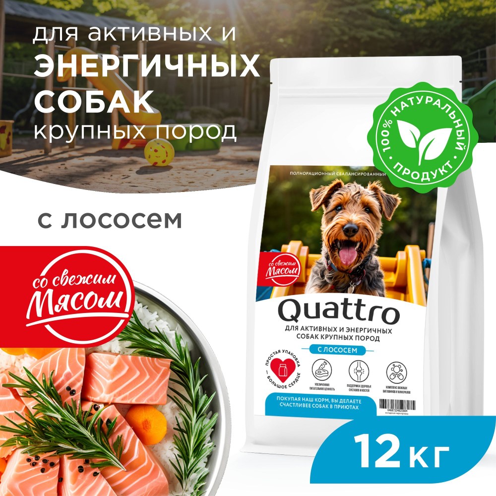 Корм сухой для взрослых собак крупных пород, премиум полнорационный комплекс, для активных и энергичных собак, с лососем, 12 кг, QUATTRO