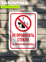 Табличка для бассейна "Не проносить стекло", на пляж, для общественной и частной зоны отдыха, информационная, 40х30 см, Silver Plane x Айдентика Технолоджи