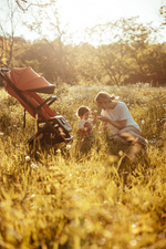 Детская прогулочная коляска Anex AIR-X Ax-01 terracotta