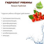 Гидролат рябины / Rowan hydrolat