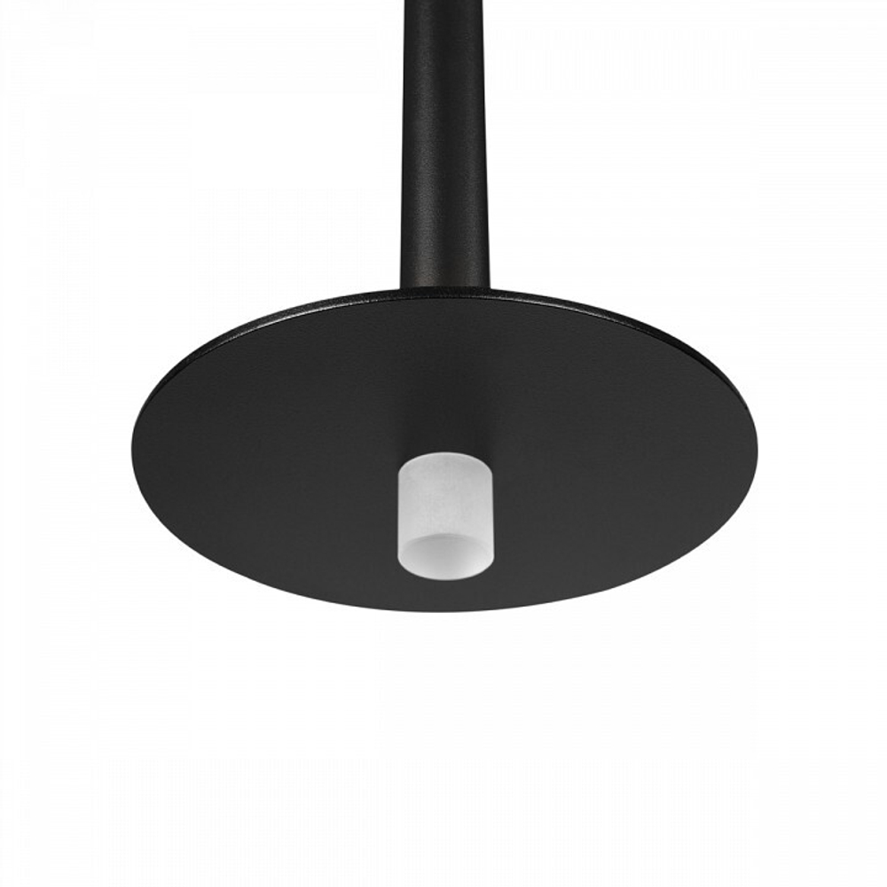 Подвесной светильник Loft it Reed 10358/830 Disk