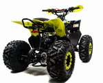 Квадроцикл MOTOLAND (МОТОЛЕНД) 125 RAPTOR A