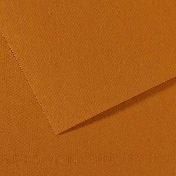 Бумага для пастели Mi-Teintes 160 г/м², A4 21х29.7 см, 25 л, №502 Коричневый Гавана, Canson, C31032S024