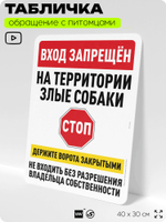 Табличка "Вход запрещен, на территории злые собаки" на дверь и забор, для двора, дома, подъезда, 40х30 см, Silver Plane x Айдентика Технолоджи