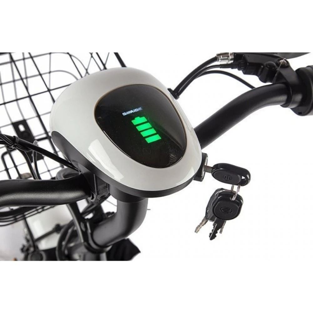 Электроскутер INTRO STICK черно-белый