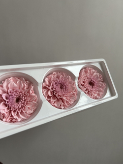 Георгины сиреневые d=8 см (упак 3 шт)