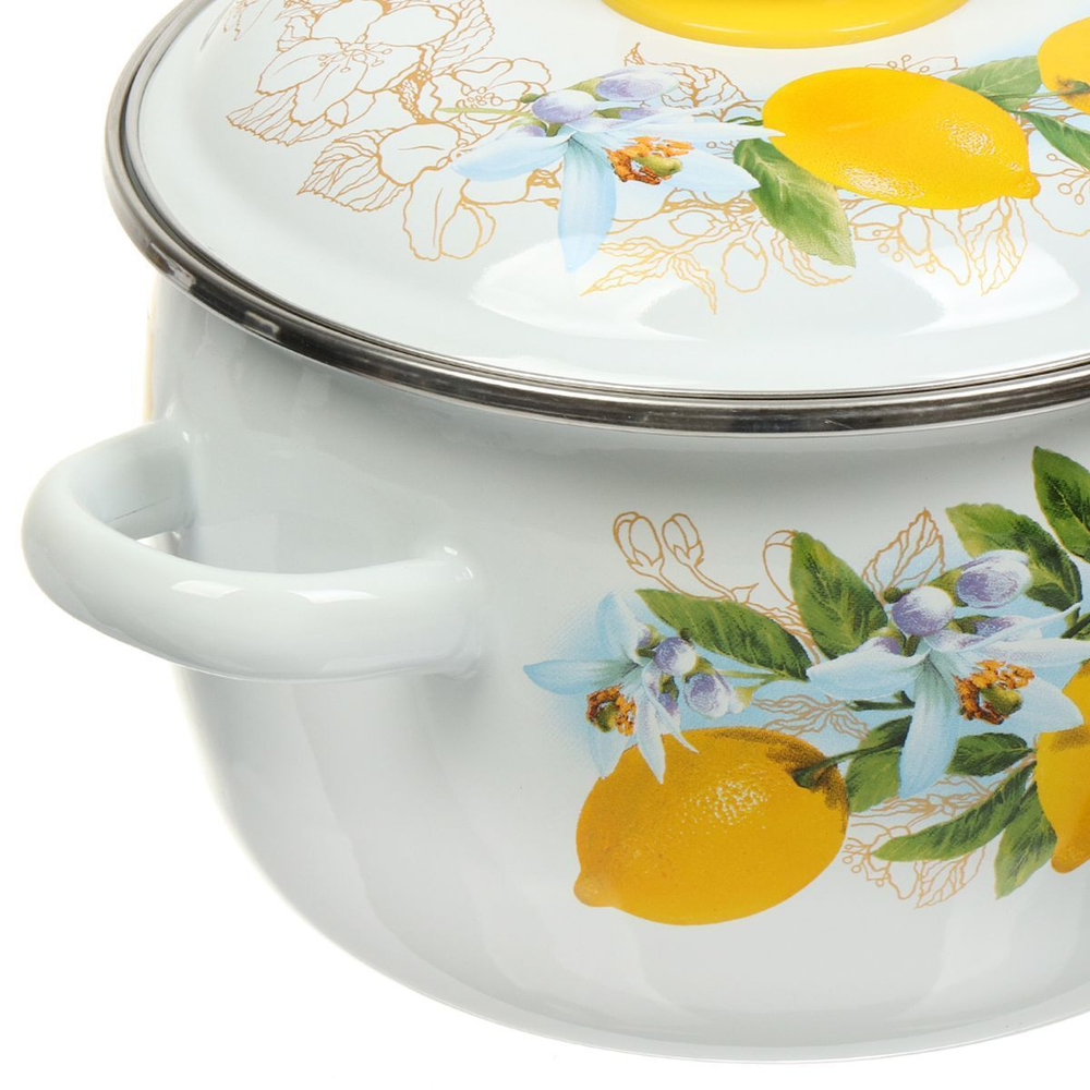 Кастрюля сталь, эмал, 2 л, с крыш, крышка сталь, сферическая, Сиб товары, Лимоны, 3MC161P, индукц