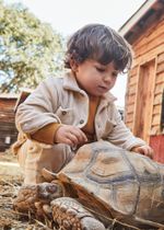 вельветовая рубашка