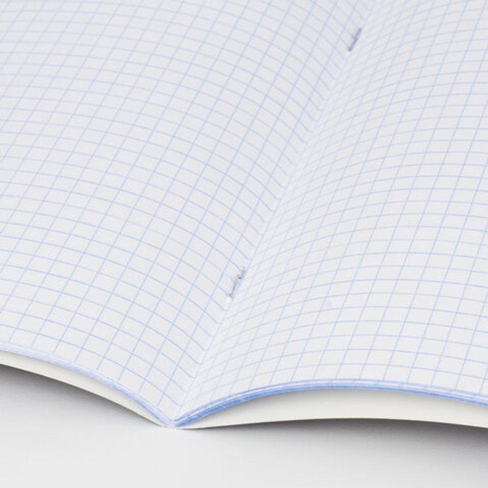 Тетрадь предметная NAVIGATOR 48 листов, выборочный лак, ФИЗИКА, клетка, подсказ, BRAUBERG, 403547