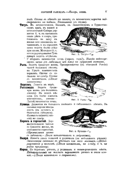 Охотничий календарь. Справочная книга для ружейных и псовых охотников | Л. П. Сабанеев