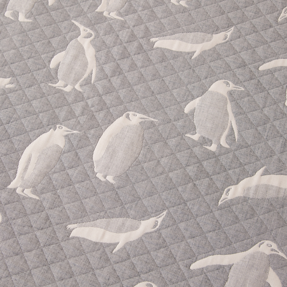 Покрывало двухстороннее Aurora Veil PAV001