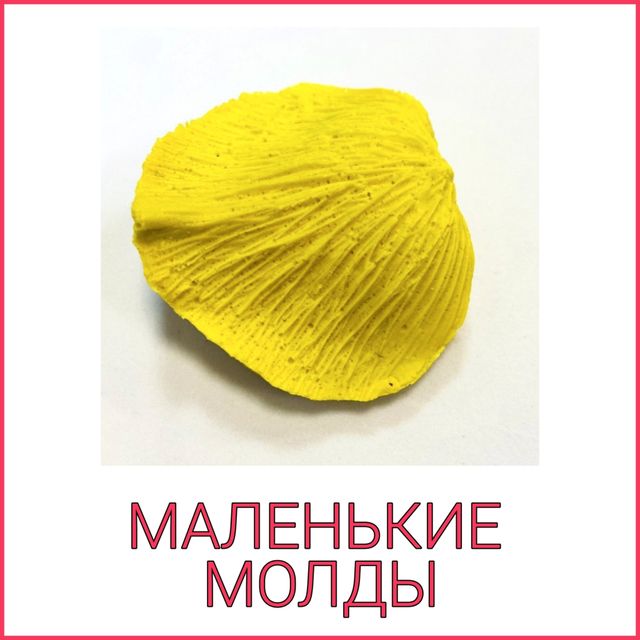 МАЛЕНЬКИЕ МОЛДЫ