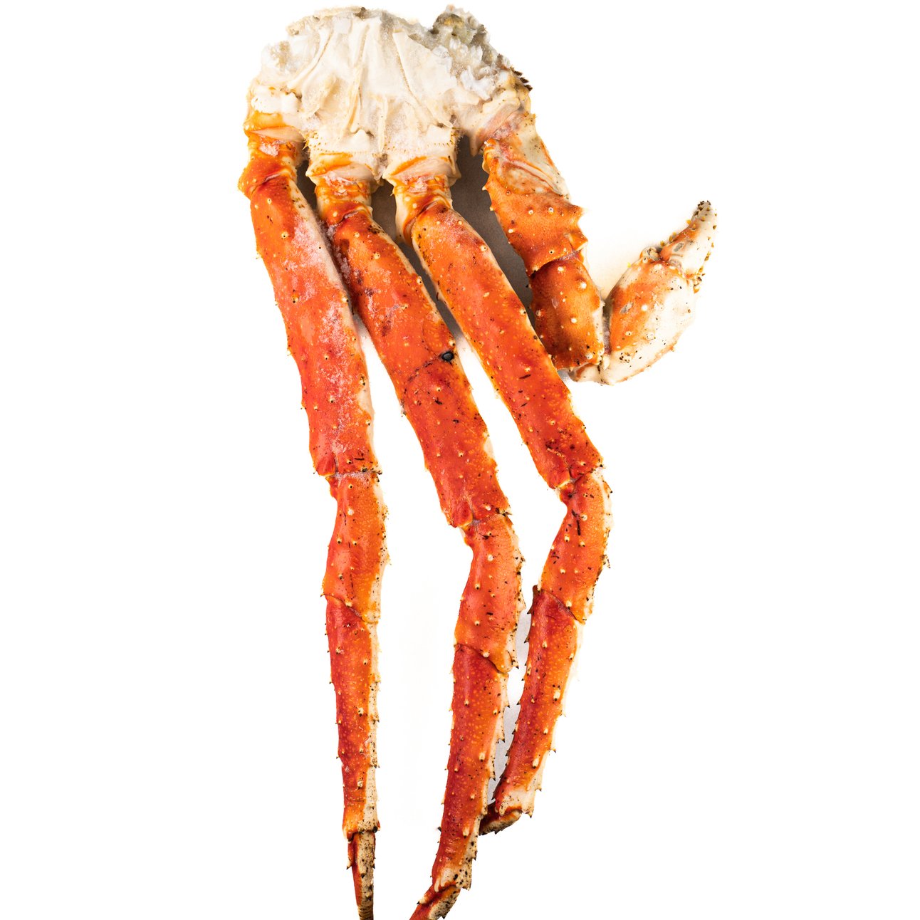 Клешни камчатского краба